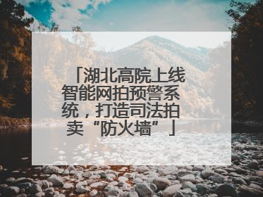 湖北高院上线智能网拍预警系统，打造司法拍卖“防火墙”