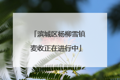 滨城区杨柳雪镇麦收正在进行中