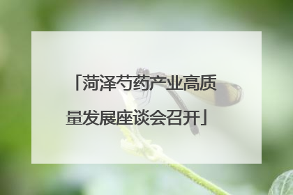 菏泽芍药产业高质量发展座谈会召开