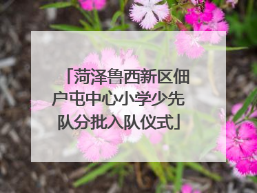 菏泽鲁西新区佃户屯中心小学少先队分批入队仪式