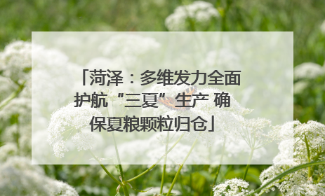 菏泽：多维发力全面护航“三夏”生产 确保夏粮颗粒归仓