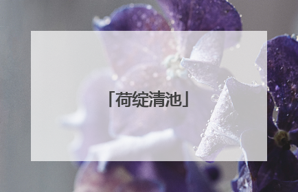 荷绽清池