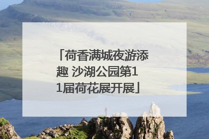 荷香满城夜游添趣 沙湖公园第11届荷花展开展