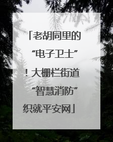 老胡同里的“电子卫士”！大栅栏街道“智慧消防”织就平安网