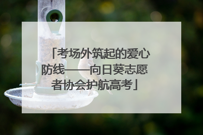 考场外筑起的爱心防线——向日葵志愿者协会护航高考