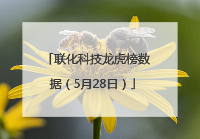 联化科技龙虎榜数据（5月28日）