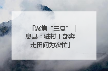 聚焦“三夏”｜息县：驻村干部奔走田间为农忙