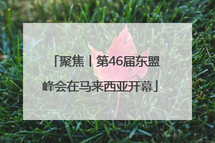 聚焦丨第46届东盟峰会在马来西亚开幕