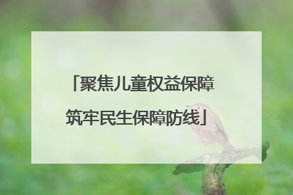 聚焦儿童权益保障 筑牢民生保障防线