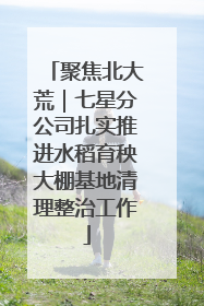 聚焦北大荒｜七星分公司扎实推进水稻育秧大棚基地清理整治工作