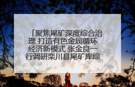聚焦尾矿深度综合治理 打造有色金属循环经济新模式 张金良一行调研栾川县尾矿库综合治理工作