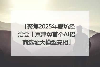 聚焦2025年廊坊经洽会丨京津冀首个AI招商选址大模型亮相