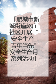 肥城市新城街道赵庄社区开展“安全生产 青年当先”安全生产月系列活动