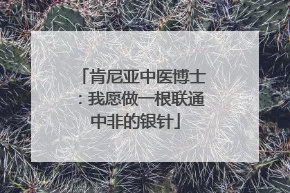 肯尼亚中医博士：我愿做一根联通中非的银针