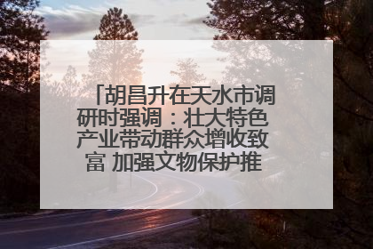 胡昌升在天水市调研时强调：壮大特色产业带动群众增收致富 加强文物保护推动文化创新发展