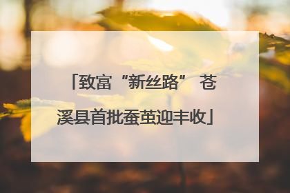 致富“新丝路” 苍溪县首批蚕茧迎丰收