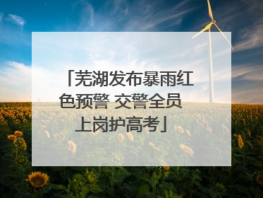 芜湖发布暴雨红色预警 交警全员上岗护高考