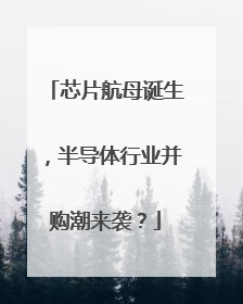 芯片航母诞生，半导体行业并购潮来袭？