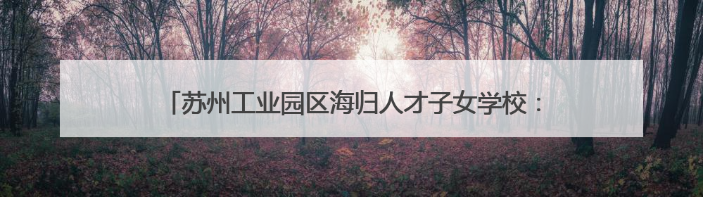 苏州工业园区海归人才子女学校：让学生成为全面发展的终身学习者