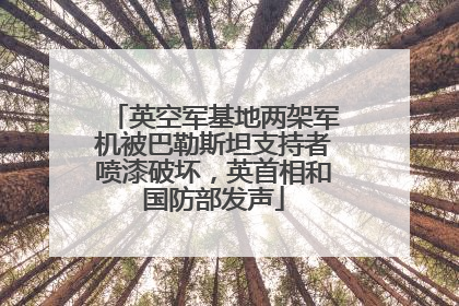 英空军基地两架军机被巴勒斯坦支持者喷漆破坏，英首相和国防部发声