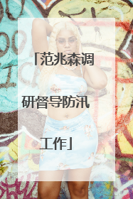 范兆森调研督导防汛工作