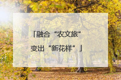 融合“农文旅” 变出“新花样”