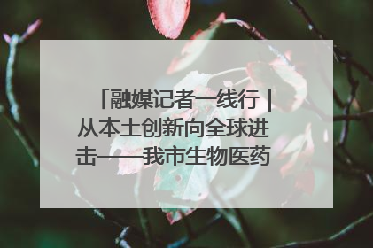 融媒记者一线行｜从本土创新向全球进击——我市生物医药产业破茧突围
