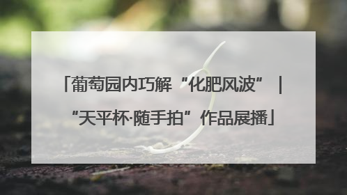 葡萄园内巧解“化肥风波”｜“天平杯·随手拍”作品展播