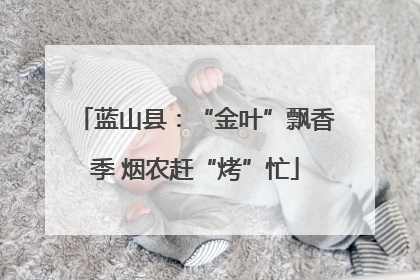 蓝山县：“金叶”飘香季 烟农赶“烤”忙