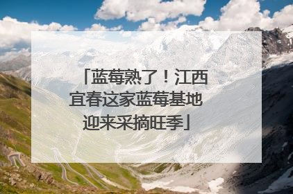 蓝莓熟了！江西宜春这家蓝莓基地迎来采摘旺季