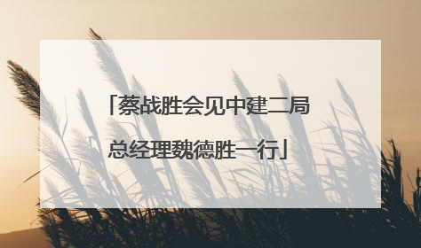蔡战胜会见中建二局总经理魏德胜一行