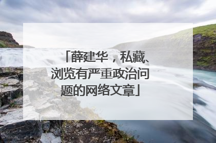 薛建华，私藏、浏览有严重政治问题的网络文章