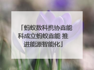 蚂蚁数科携协鑫能科成立蚂蚁鑫能 推进能源智能化