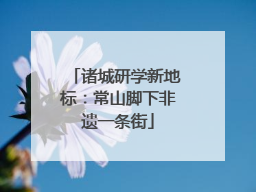诸城研学新地标：常山脚下非遗一条街