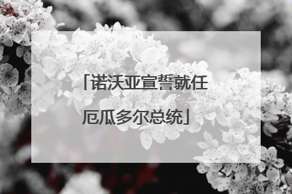 诺沃亚宣誓就任厄瓜多尔总统