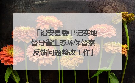 诏安县委书记实地督导省生态环保督察反馈问题整改工作