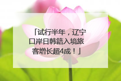 试行半年，辽宁口岸日韩籍入境旅客增长超4成！