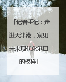 记者手记：走进天津港，窥见未来现代化港口的模样