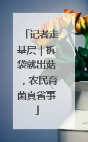 记者走基层｜拆袋就出菇，农民育菌真省事