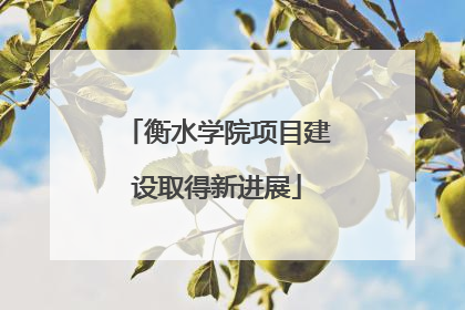 衡水学院项目建设取得新进展