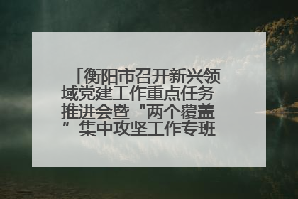 衡阳市召开新兴领域党建工作重点任务推进会暨“两个覆盖”集中攻坚工作专班 第一次会议