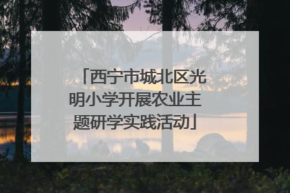 西宁市城北区光明小学开展农业主题研学实践活动