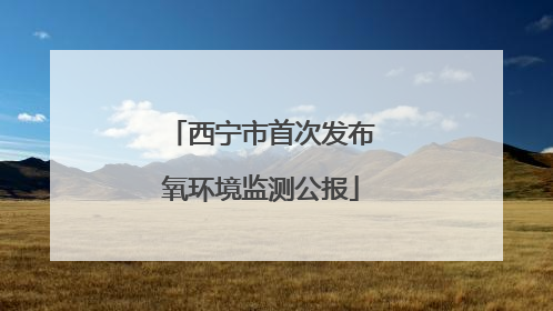 西宁市首次发布氧环境监测公报