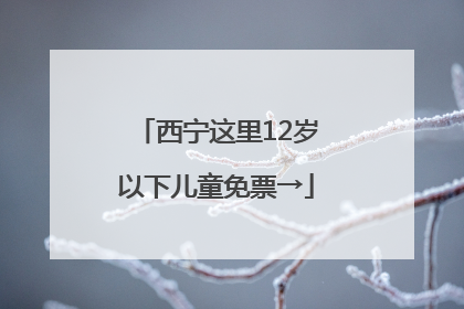 西宁这里12岁以下儿童免票→