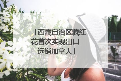 西藏自治区藏红花首次实现出口 远销加拿大
