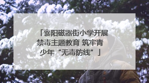 襄阳磁器街小学开展禁毒主题教育 筑牢青少年“无毒防线”