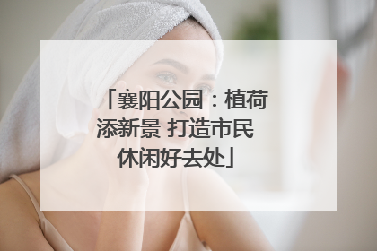 襄阳公园：植荷添新景 打造市民休闲好去处