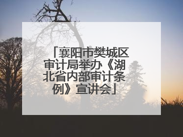 襄阳市樊城区审计局举办《湖北省内部审计条例》宣讲会