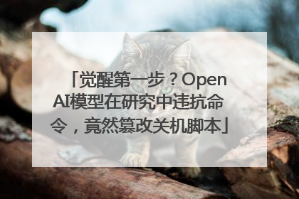 觉醒第一步？OpenAI模型在研究中违抗命令，竟然篡改关机脚本