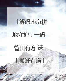 解码南京耕地守护：一码管田有方 沃土搬迁有道